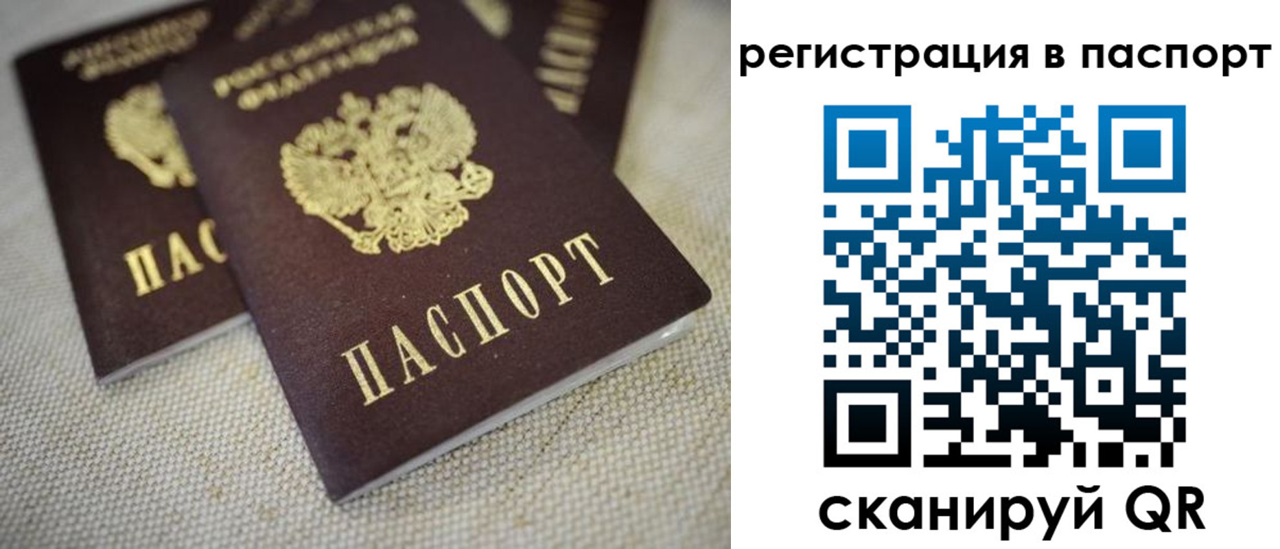 прописка гарантия в Кстово